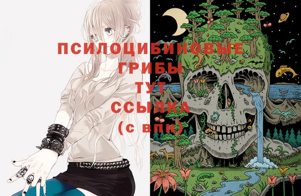 МДПВ Бронницы