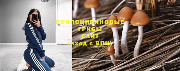 ГАЛЛЮЦИНОГЕННЫЕ ГРИБЫ Верхний Тагил
