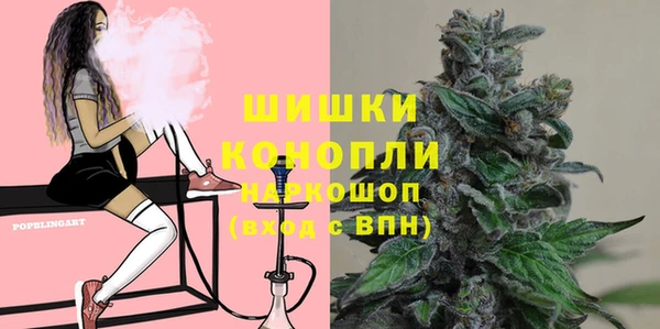 МДПВ Бронницы