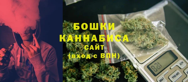 МДПВ Бронницы